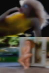 Utah sexual swingers