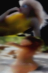 Nude girls from