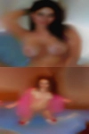 Muse milf and animals I'm 18.