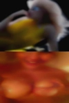 Handle horny wife