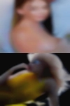 Free numbers from horny girls