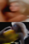 Pussy Auberry