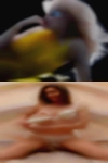 Witt nude cheating housewives